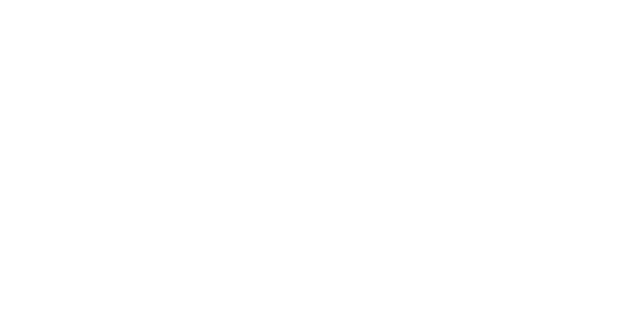 Heroes of Fortune logo